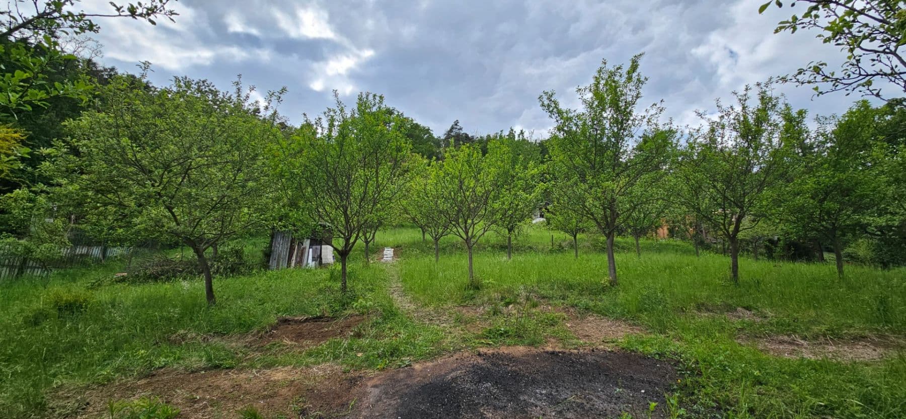Prenájom pozemku 5.966 m², Muškátová, Brno, Jihomoravský kraj Prenájom pozemku 5.966 m², Muškátová, Brno, Jihomoravský kraj