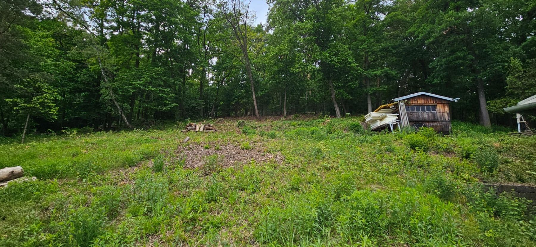 Prenájom pozemku 5.966 m², Muškátová, Brno, Jihomoravský kraj Prenájom pozemku 5.966 m², Muškátová, Brno, Jihomoravský kraj