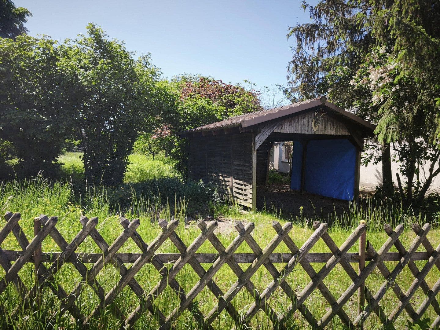 Predaj domu 90 m², pozemek 1.887 m², Grünstraße 17, Zahna-Elster, Sasko-Anhaltsko Predaj domu 90 m², pozemek 1.887 m², Grünstraße 17, Zahna-Elster, Sasko-Anhaltsko