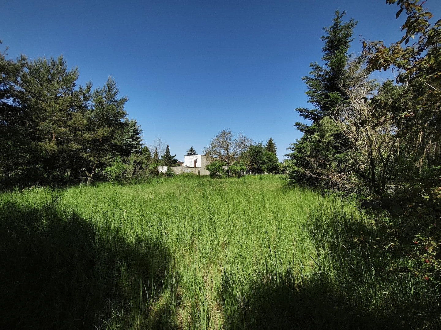 Predaj domu 90 m², pozemek 1.887 m², Grünstraße 17, Zahna-Elster, Sasko-Anhaltsko Predaj domu 90 m², pozemek 1.887 m², Grünstraße 17, Zahna-Elster, Sasko-Anhaltsko