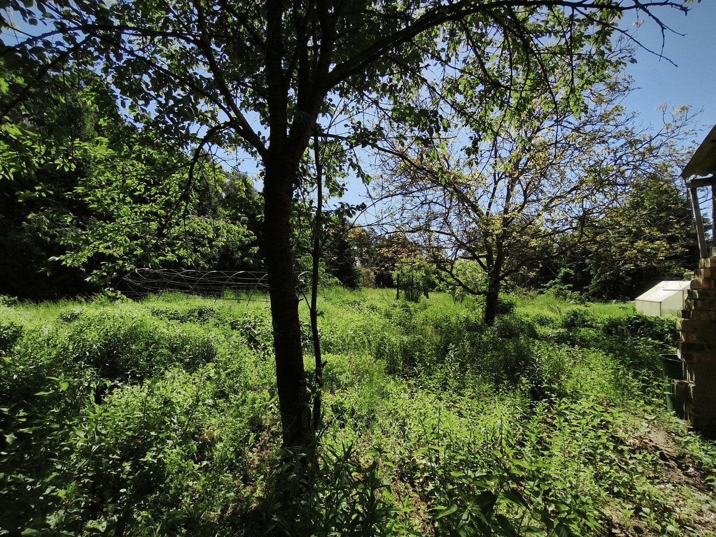 Predaj domu 90 m², pozemek 1.887 m², Grünstraße 17, Zahna-Elster, Sasko-Anhaltsko Predaj domu 90 m², pozemek 1.887 m², Grünstraße 17, Zahna-Elster, Sasko-Anhaltsko