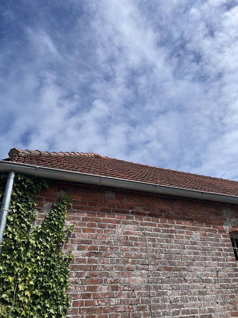 Prenájom domu 550 m², pozemek 901 m², Hauptstraße 50a, Hage, Dolné Sasko Prenájom domu 550 m², pozemek 901 m², Hauptstraße 50a, Hage, Dolné Sasko