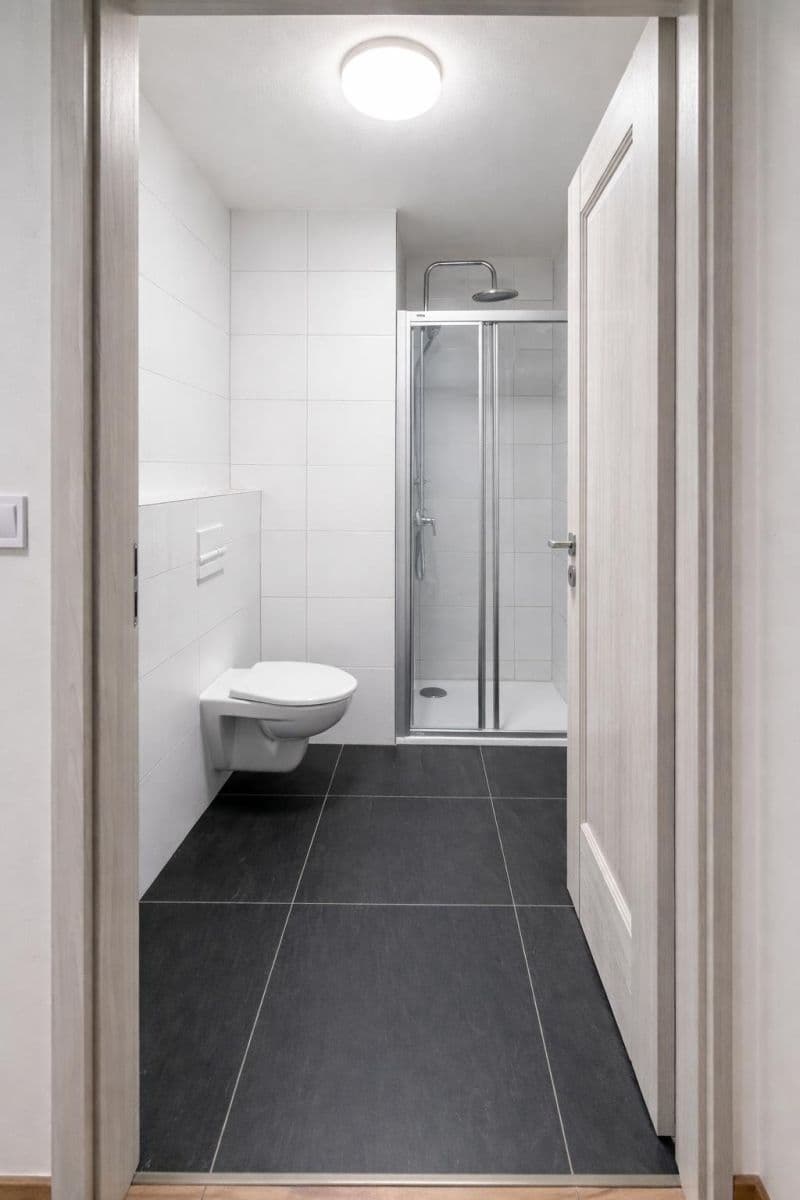 Prenájom bytu 51 m², Na Petynce, Praha, Praha Prenájom bytu 51 m², Na Petynce, Praha, Praha