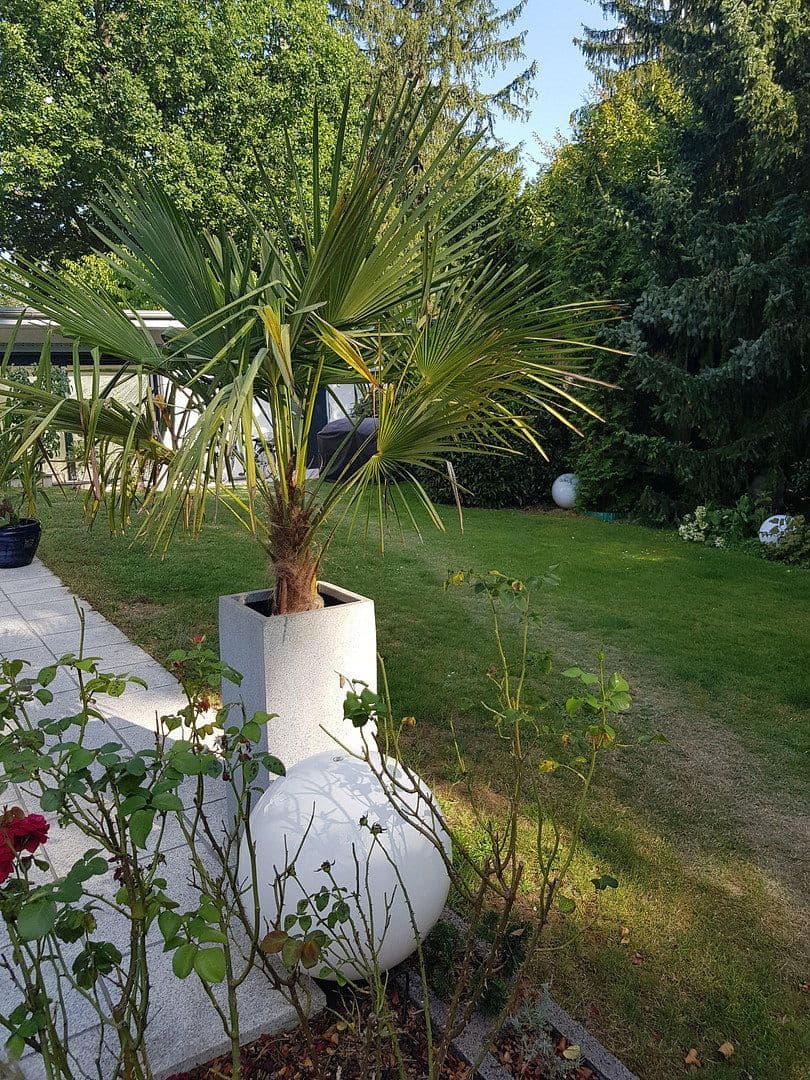 Prenájom domu 300 m², pozemek 800 m², Dreieich, Hesensko Prenájom domu 300 m², pozemek 800 m², Dreieich, Hesensko