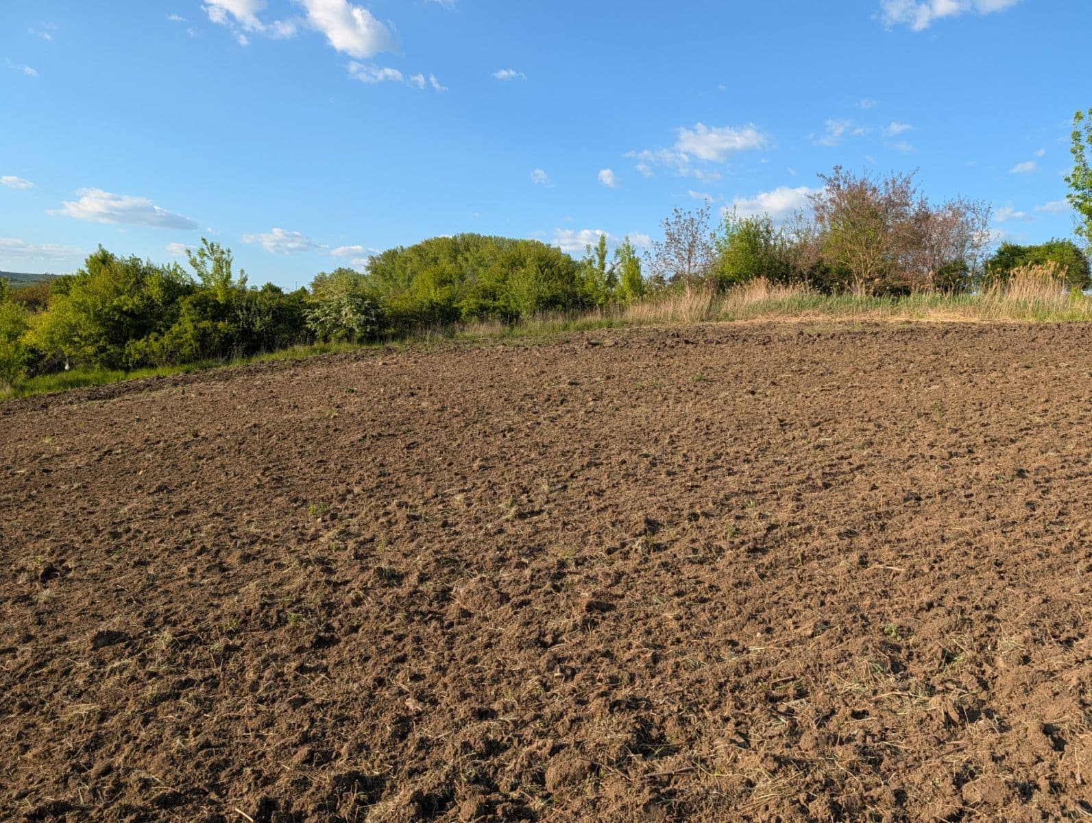 Predaj pozemku 620 m², Nosislav, Jihomoravský kraj Predaj pozemku 620 m², Nosislav, Jihomoravský kraj
