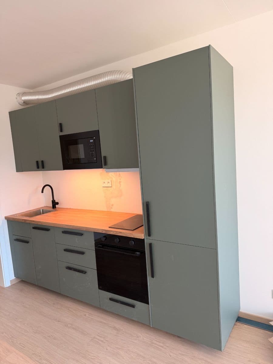 Prenájom bytu 1-izbový 32 m², Haenkeho, Praha, Praha Prenájom bytu 1-izbový 32 m², Haenkeho, Praha, Praha