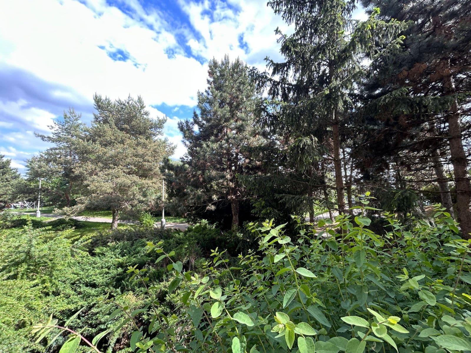 Prenájom bytu 1-izbový 49 m², Bellušova, Praha, Praha Prenájom bytu 1-izbový 49 m², Bellušova, Praha, Praha