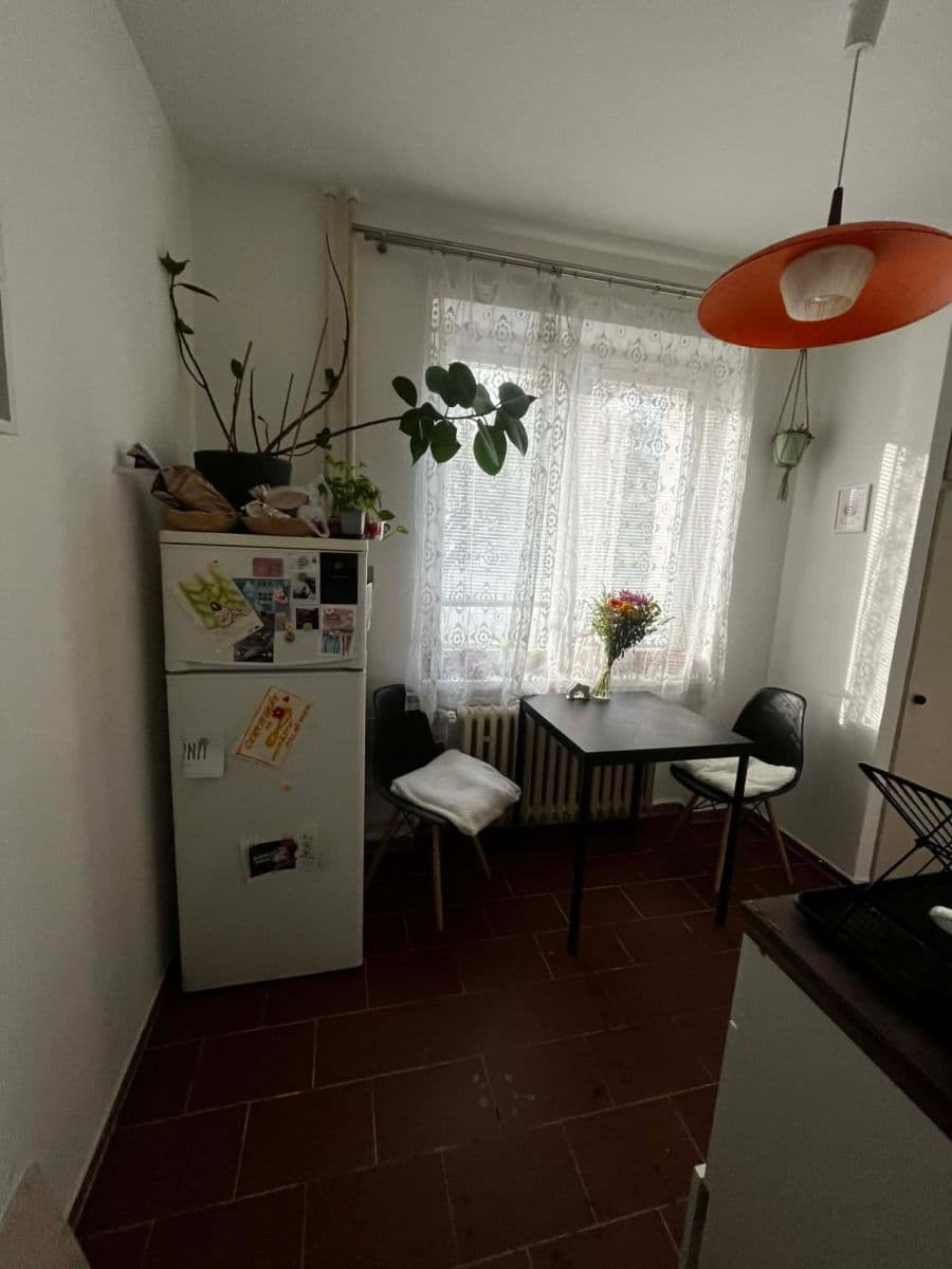 Prenájom bytu 1-izbový 39 m², náměstí SNP, Brno, Jihomoravský kraj Prenájom bytu 1-izbový 39 m², náměstí SNP, Brno, Jihomoravský kraj