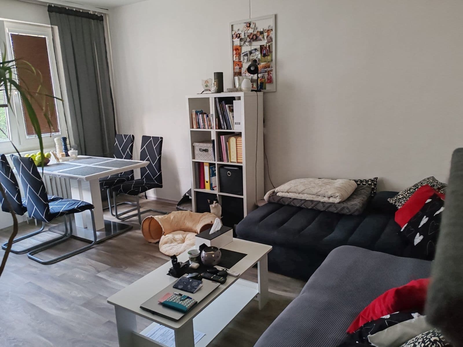 Prenájom bytu 3-izbový 68 m², Mazánkova, Ústí nad Orlicí, Pardubický kraj Prenájom bytu 3-izbový 68 m², Mazánkova, Ústí nad Orlicí, Pardubický kraj