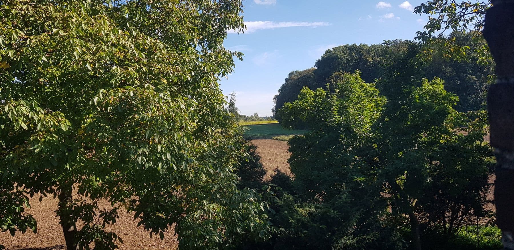 Prenájom bytu 3-izbový 135 m², Wachtendonk, Severné Porýnie - Westfálsko Prenájom bytu 3-izbový 135 m², Wachtendonk, Severné Porýnie - Westfálsko