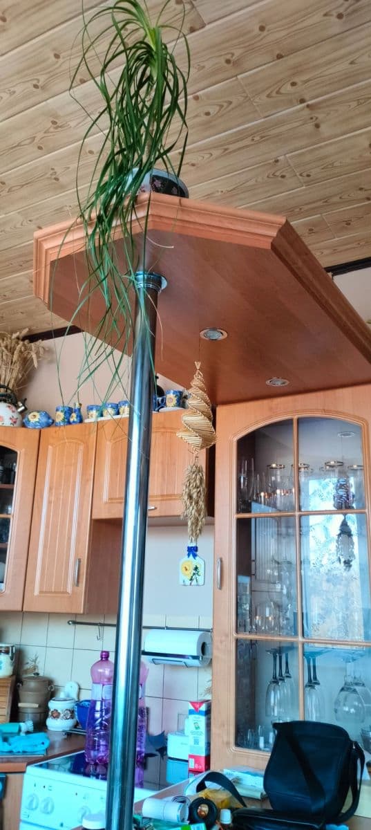 Predaj bytu 1-izbový 36 m², Haškova, Liberec, Liberecký kraj Predaj bytu 1-izbový 36 m², Haškova, Liberec, Liberecký kraj