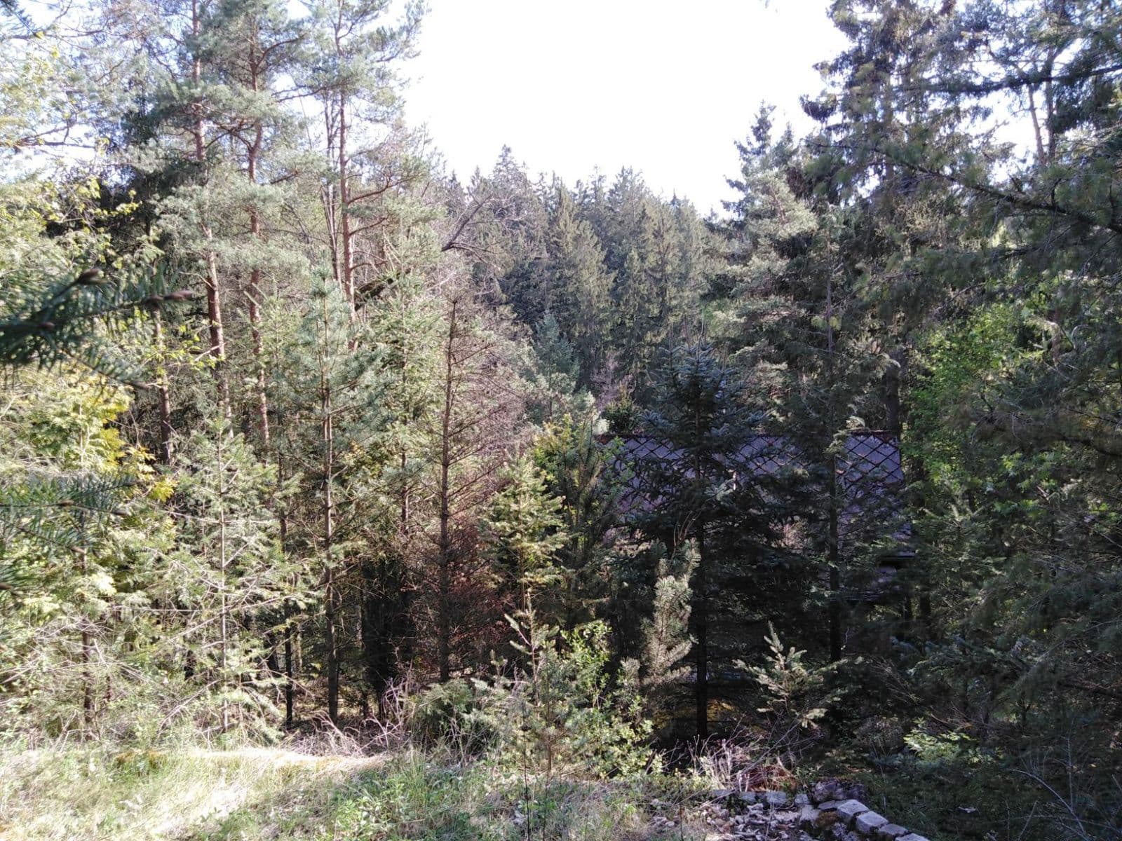 Predaj rekreačného objektu 29 m², pozemek 1.147 m², Malá Hraštice, Středočeský kraj Predaj rekreačného objektu 29 m², pozemek 1.147 m², Malá Hraštice, Středočeský kraj