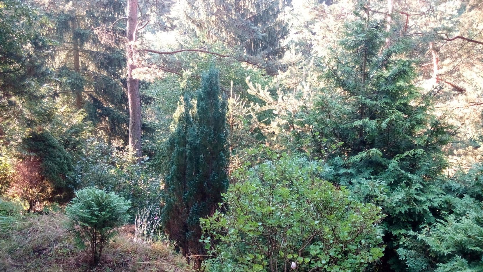 Predaj rekreačného objektu 29 m², pozemek 1.147 m², Malá Hraštice, Středočeský kraj Predaj rekreačného objektu 29 m², pozemek 1.147 m², Malá Hraštice, Středočeský kraj