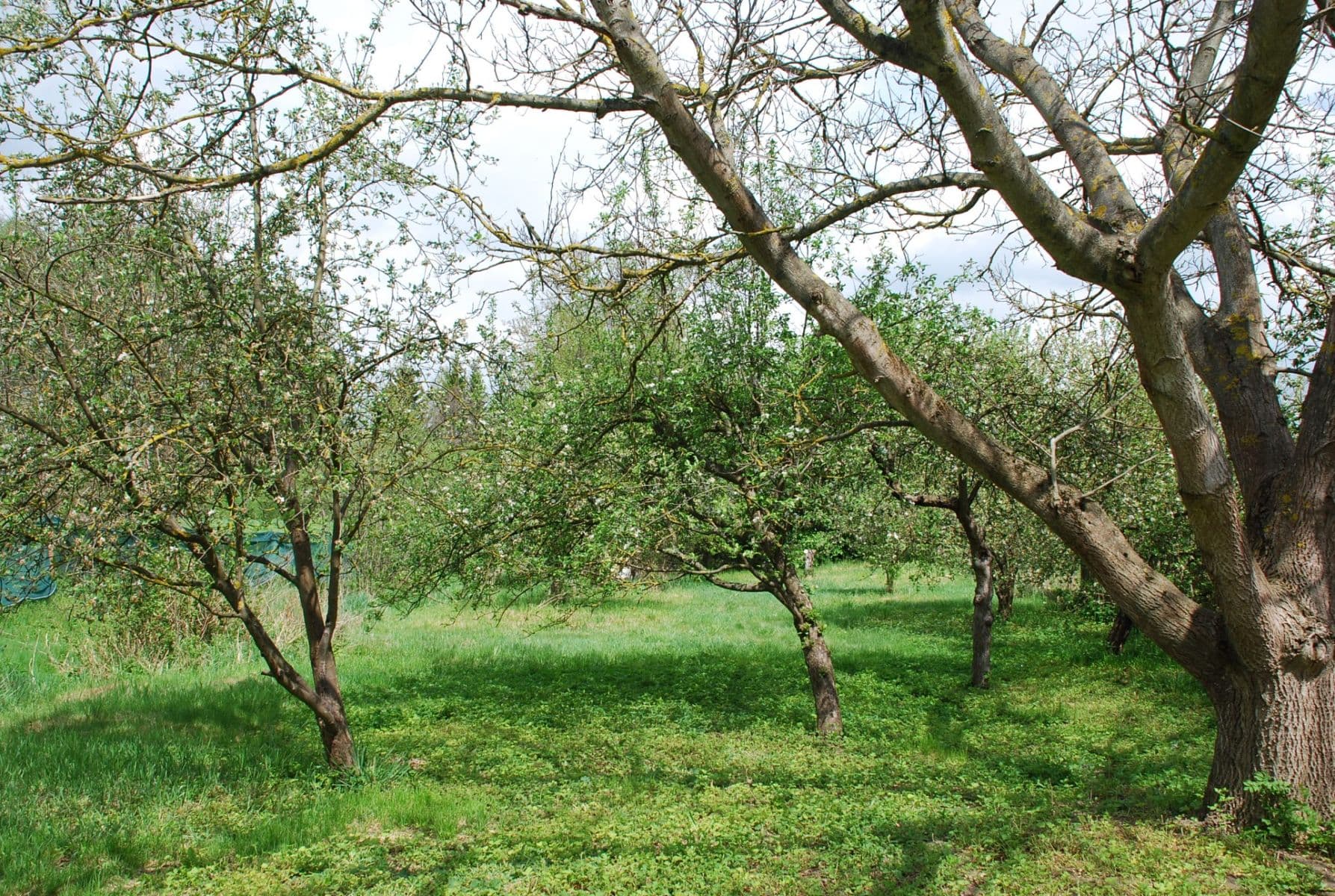 Predaj pozemku 798 m², Sedlec-Prčice, Středočeský kraj Predaj pozemku 798 m², Sedlec-Prčice, Středočeský kraj