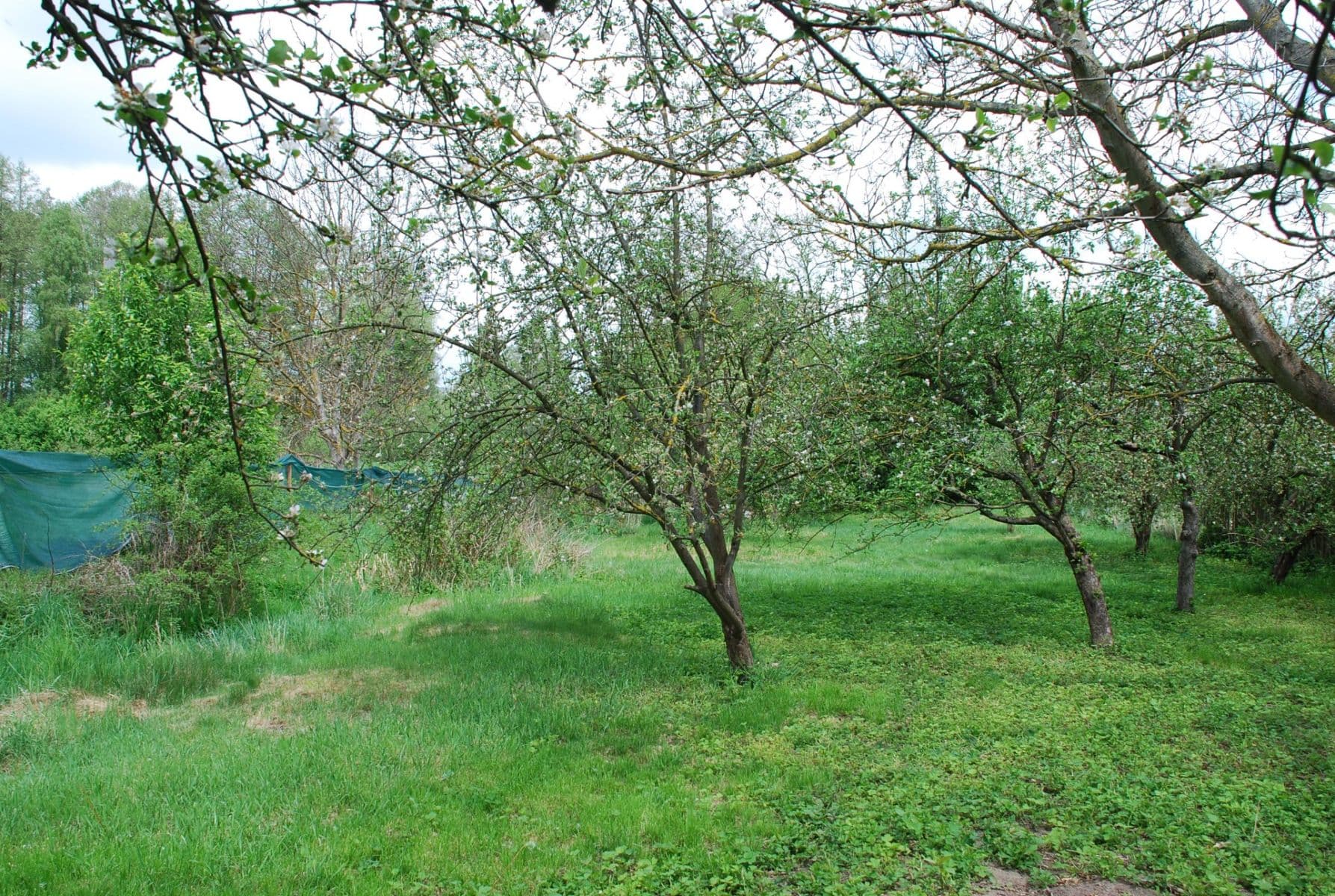 Predaj pozemku 798 m², Sedlec-Prčice, Středočeský kraj Predaj pozemku 798 m², Sedlec-Prčice, Středočeský kraj