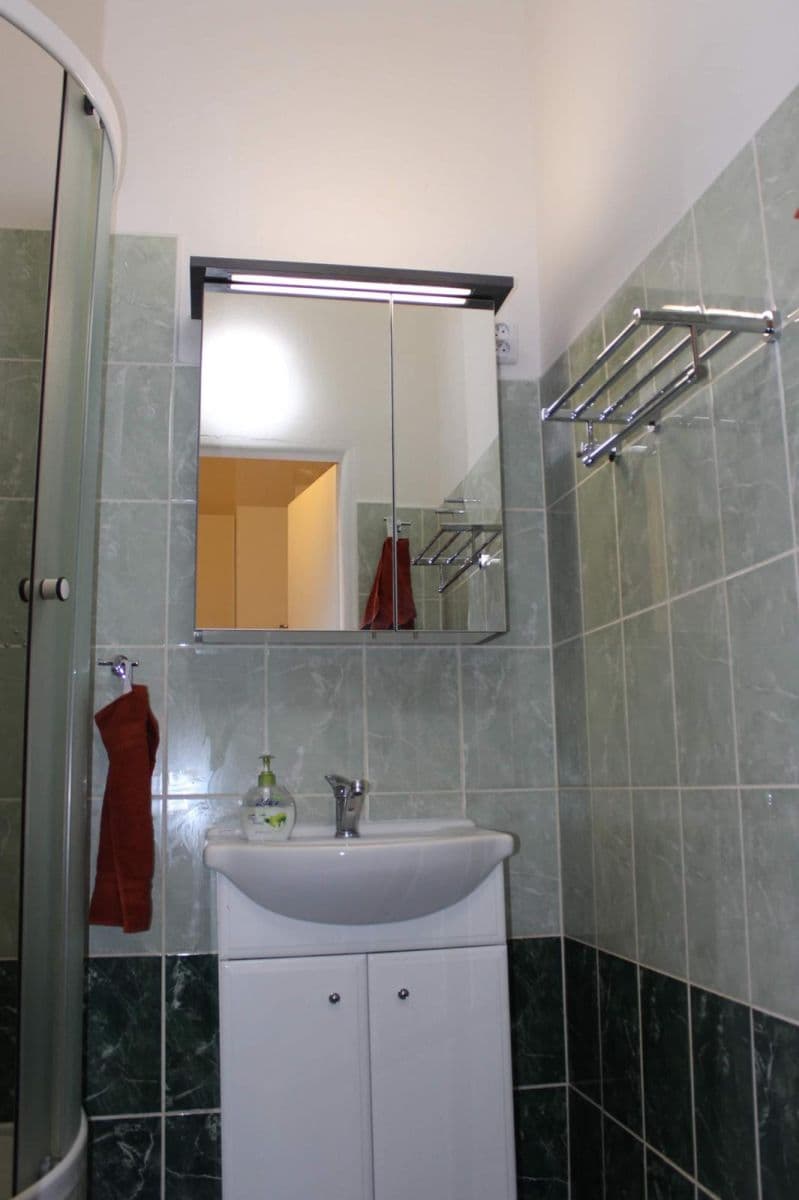 Prenájom bytu 1-izbový 30 m², Lužánecká, Brno, Jihomoravský kraj Prenájom bytu 1-izbový 30 m², Lužánecká, Brno, Jihomoravský kraj