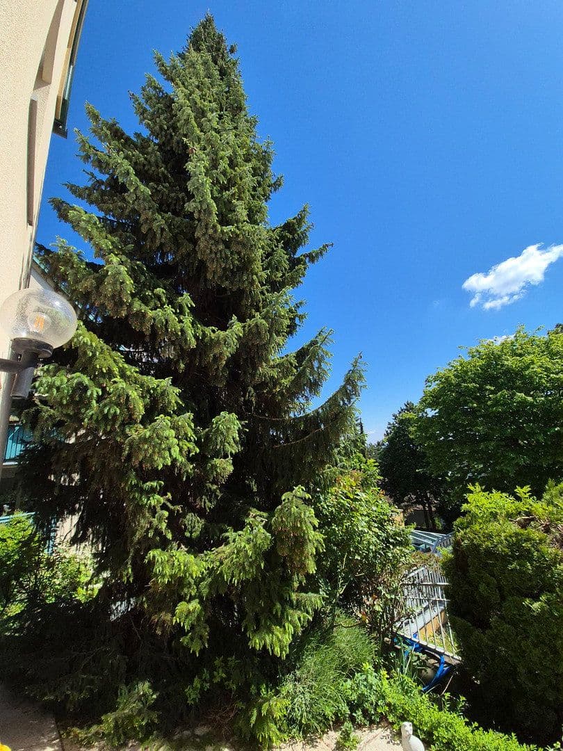 Predaj bytu 3-izbový 95 m², Wien, Viedeň Predaj bytu 3-izbový 95 m², Wien, Viedeň