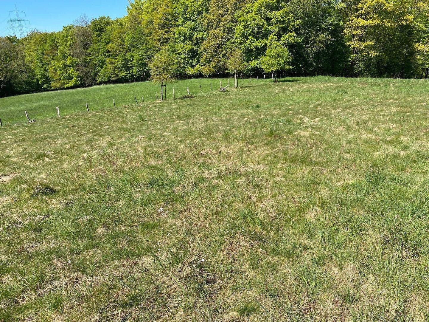 Prenájom pozemku 15.500 m², Grund/Farrenbracken, Remscheid, Severné Porýnie - Westfálsko Prenájom pozemku 15.500 m², Grund/Farrenbracken, Remscheid, Severné Porýnie - Westfálsko