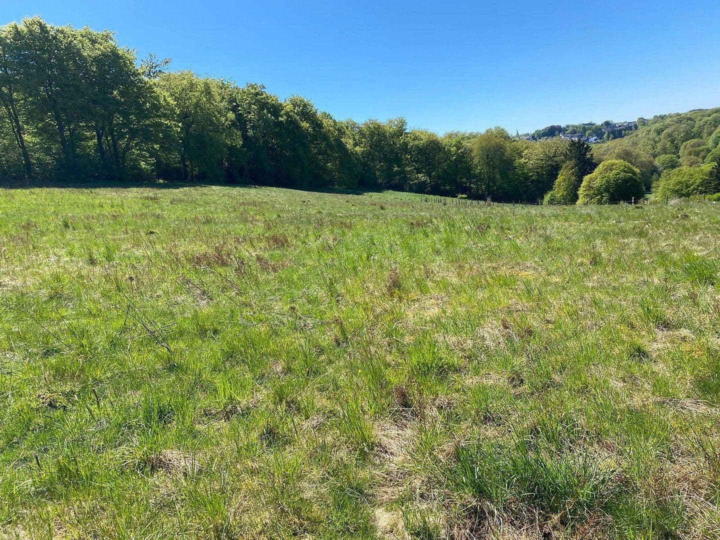 Prenájom pozemku 15.500 m², Grund/Farrenbracken, Remscheid, Severné Porýnie - Westfálsko Prenájom pozemku 15.500 m², Grund/Farrenbracken, Remscheid, Severné Porýnie - Westfálsko