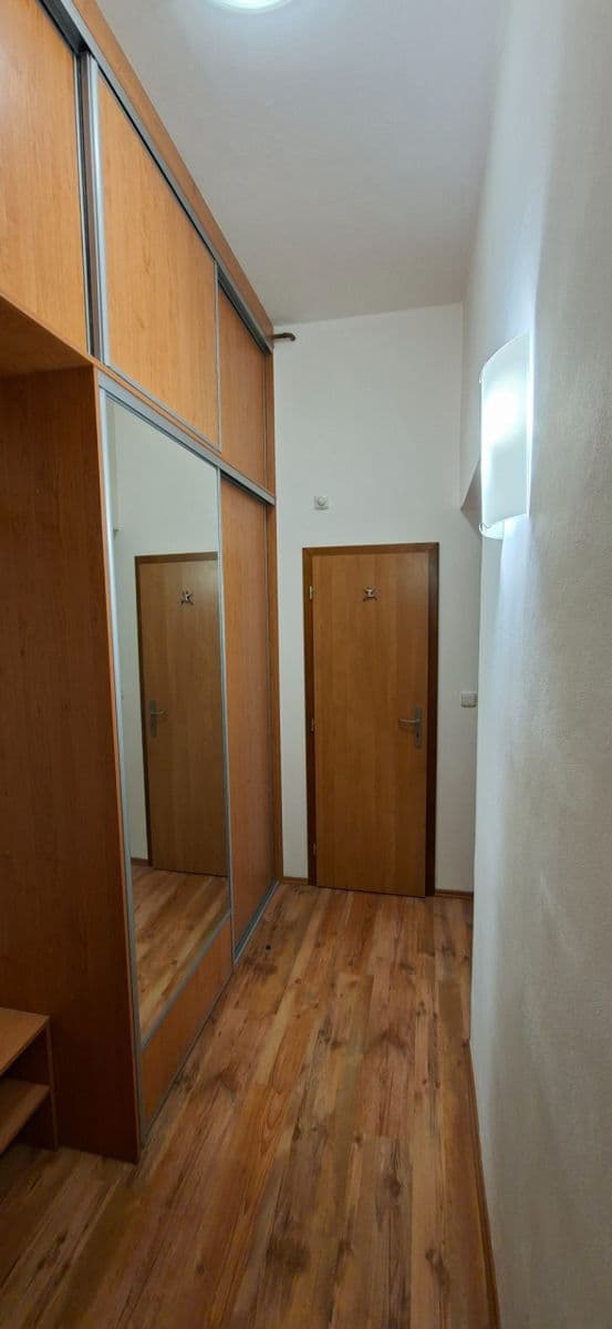 Prenájom bytu 2-izbový 50 m², Mánesova, Hradec Králové, Královéhradecký kraj Prenájom bytu 2-izbový 50 m², Mánesova, Hradec Králové, Královéhradecký kraj