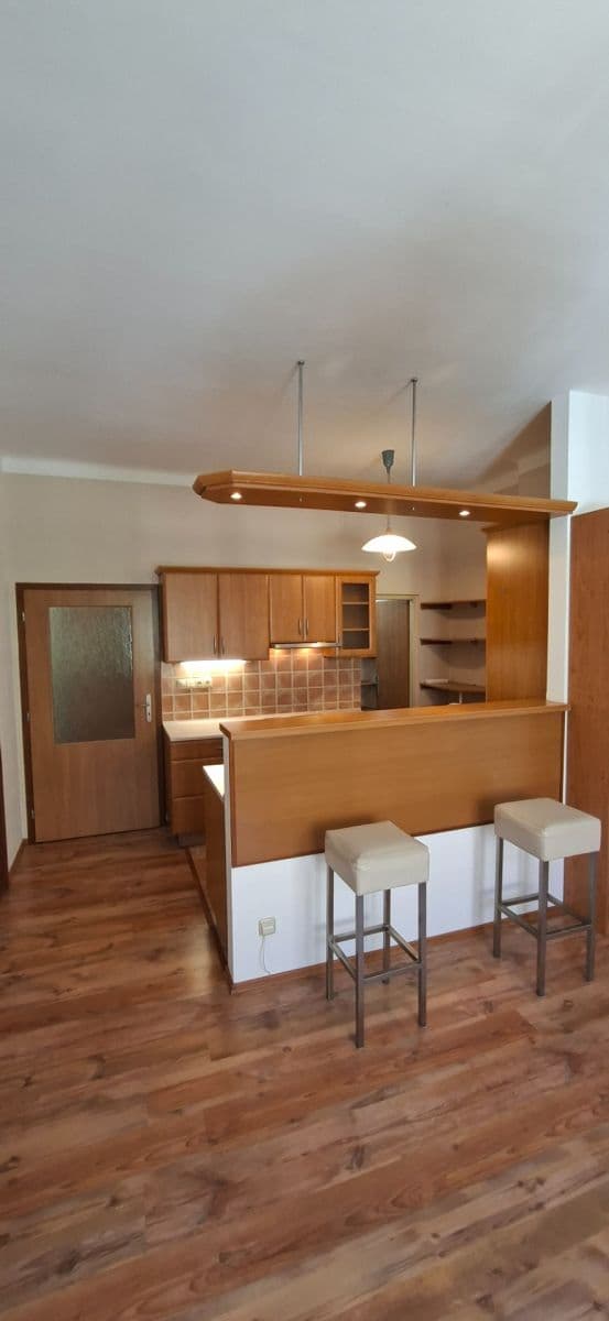 Prenájom bytu 2-izbový 50 m², Mánesova, Hradec Králové, Královéhradecký kraj Prenájom bytu 2-izbový 50 m², Mánesova, Hradec Králové, Královéhradecký kraj