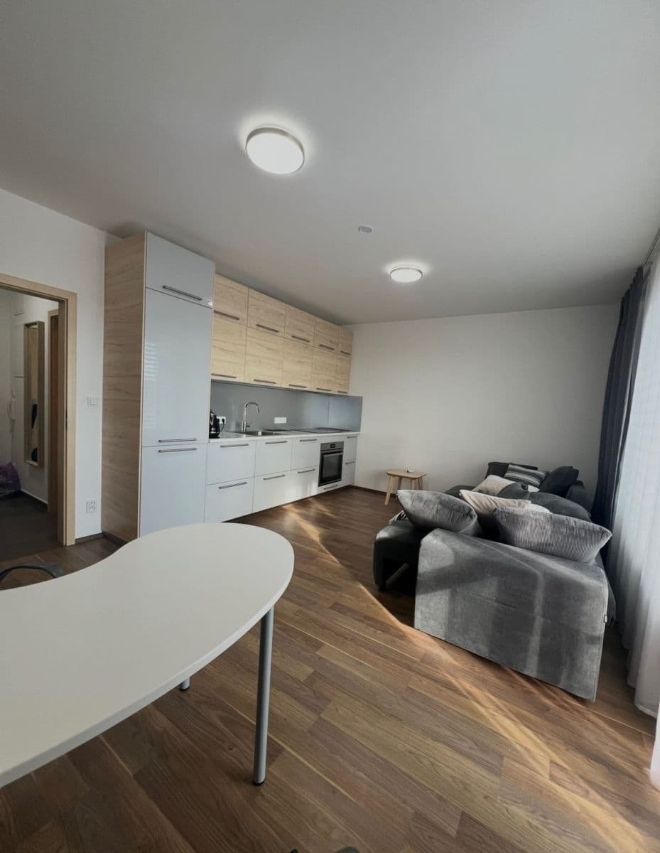 Prenájom bytu 1-izbový 33 m², Dobrovolného, Praha, Praha Prenájom bytu 1-izbový 33 m², Dobrovolného, Praha, Praha