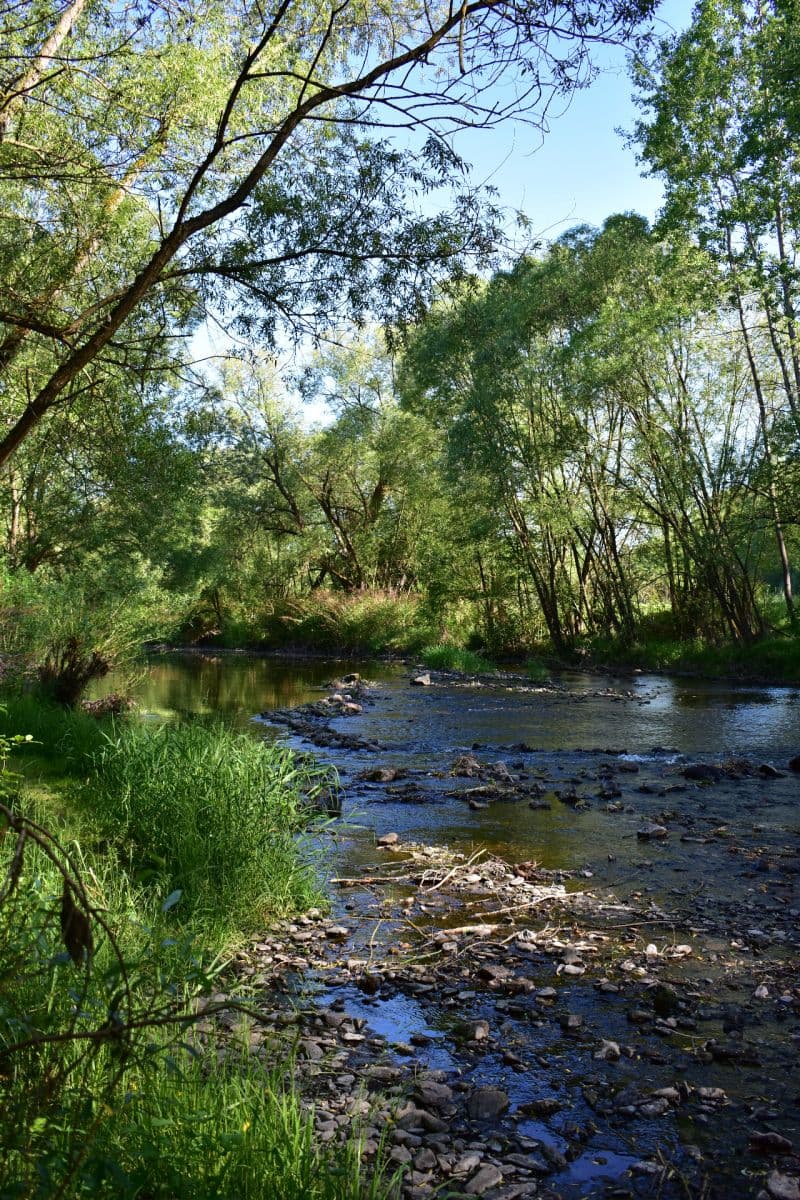 Predaj rekreačného objektu 80 m², pozemek 100 m², Římov, Jihočeský kraj Predaj rekreačného objektu 80 m², pozemek 100 m², Římov, Jihočeský kraj