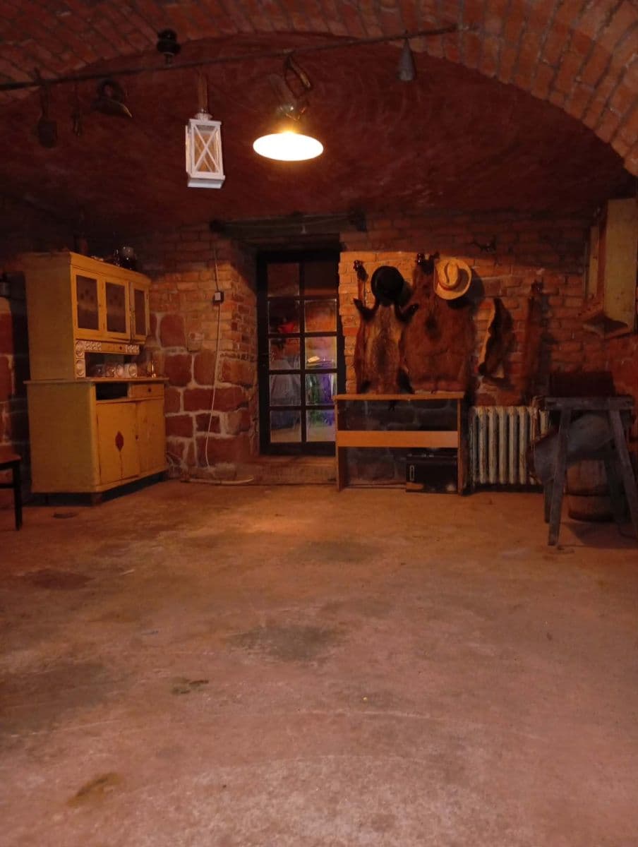Predaj domu 290 m², pozemek 4.472 m², Borovnice, Královéhradecký kraj Predaj domu 290 m², pozemek 4.472 m², Borovnice, Královéhradecký kraj