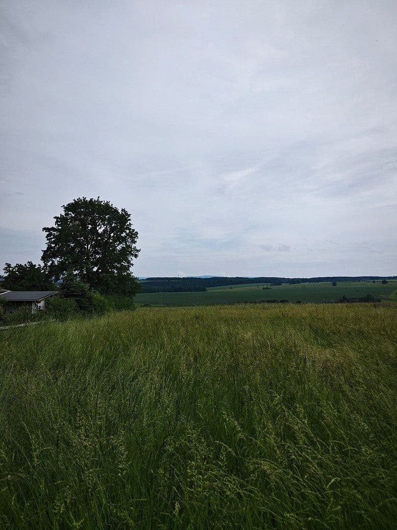 Predaj domu 248 m², pozemek 330 m², Freiheitsstr.99, Zwickau, Sasko Predaj domu 248 m², pozemek 330 m², Freiheitsstr.99, Zwickau, Sasko
