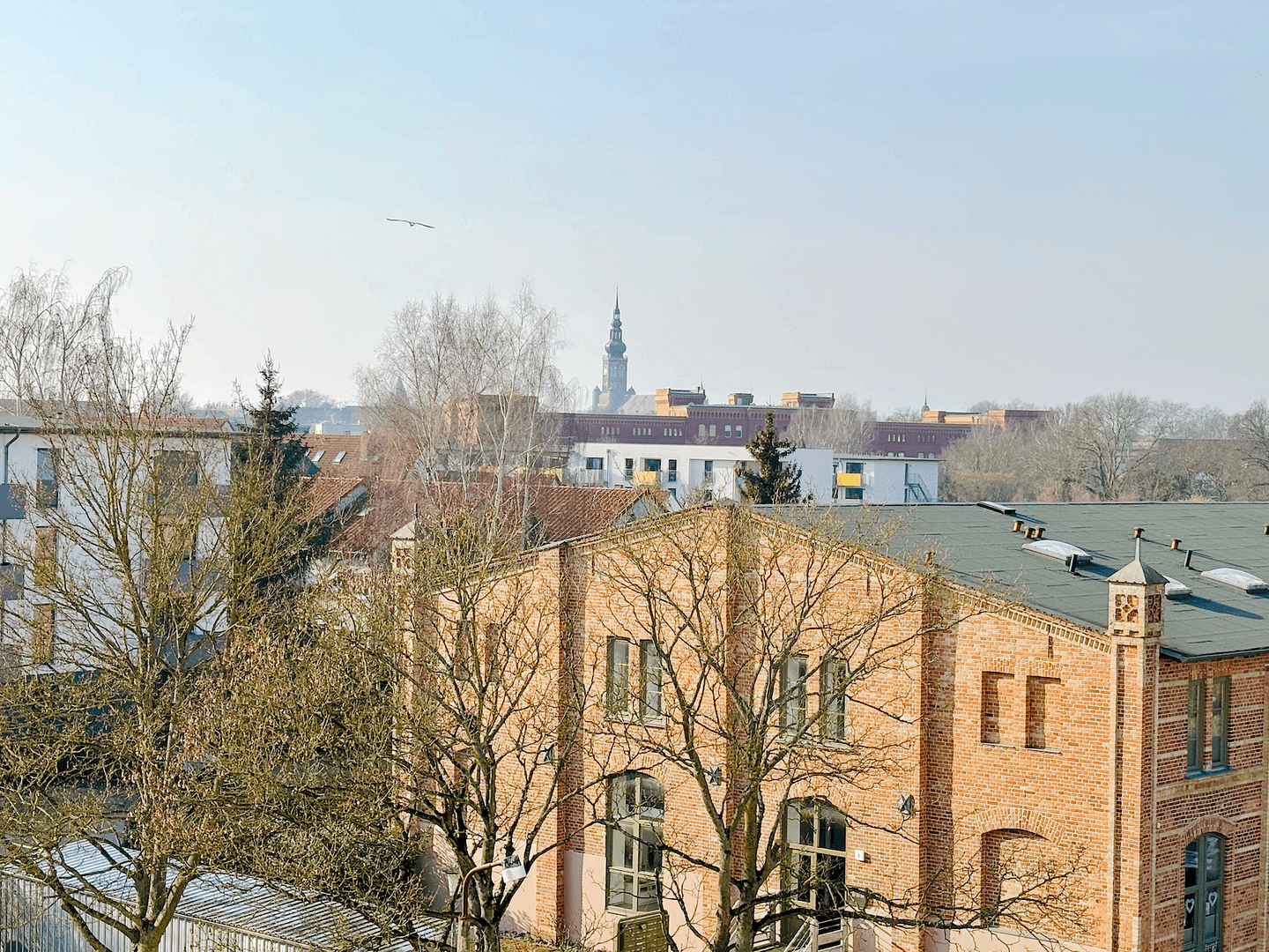 Prenájom bytu 3-izbový 59 m², Greifswald, Meklenbursko-Predpomoransko Prenájom bytu 3-izbový 59 m², Greifswald, Meklenbursko-Predpomoransko