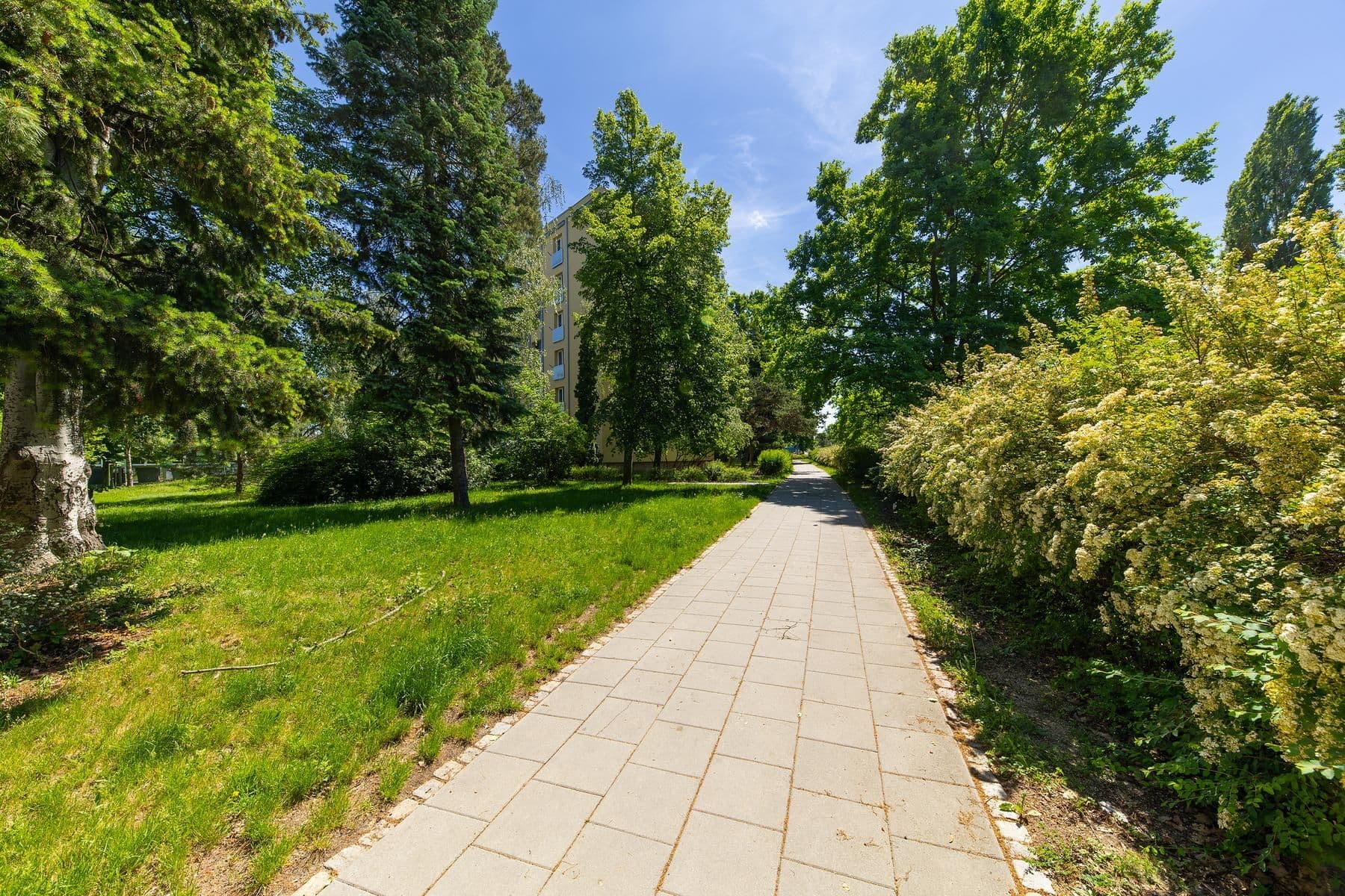 Predaj bytu 2-izbový 50 m², Foerstrova, Olomouc, Olomoucký kraj Predaj bytu 2-izbový 50 m², Foerstrova, Olomouc, Olomoucký kraj
