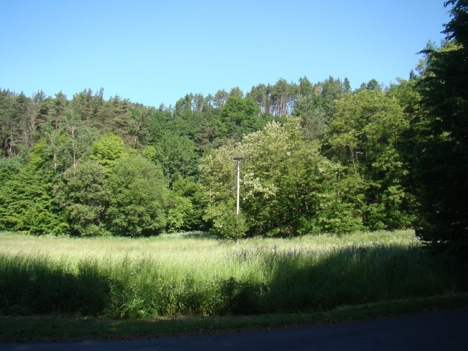 Predaj pozemku 6.471 m², 25935, Vidim, Středočeský kraj Predaj pozemku 6.471 m², 25935, Vidim, Středočeský kraj
