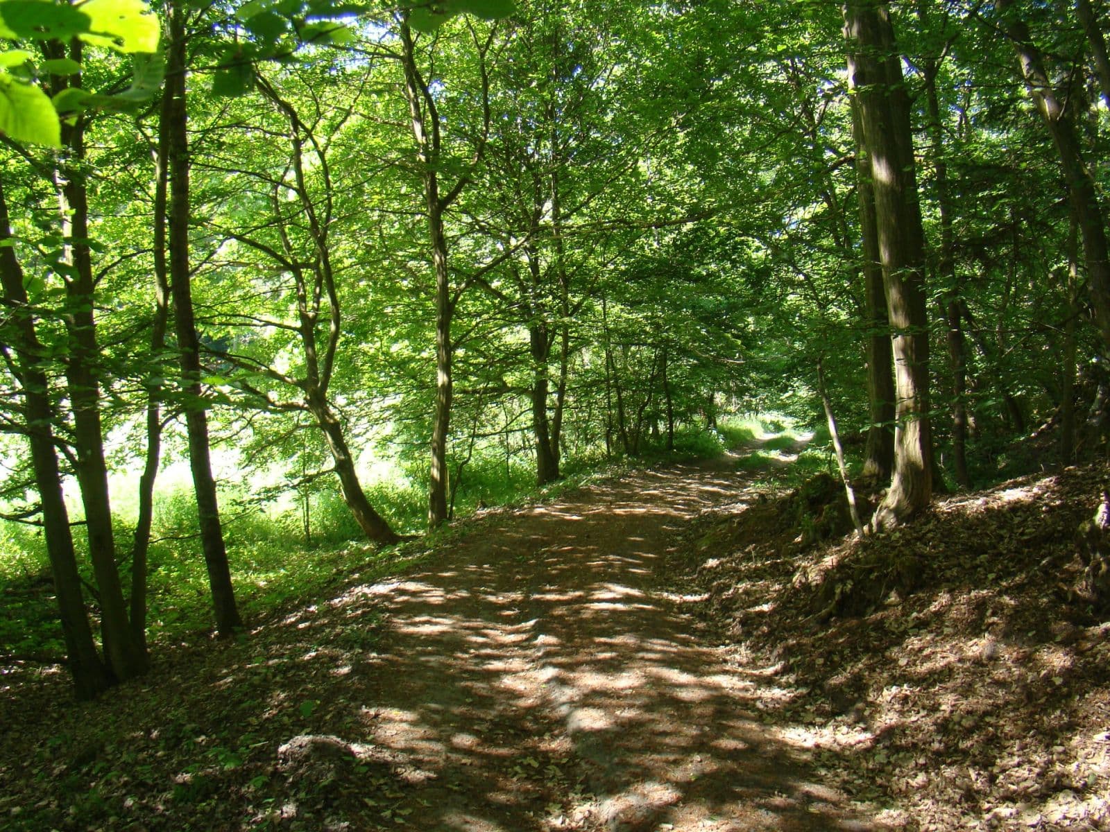 Predaj pozemku 6.471 m², 25935, Vidim, Středočeský kraj Predaj pozemku 6.471 m², 25935, Vidim, Středočeský kraj