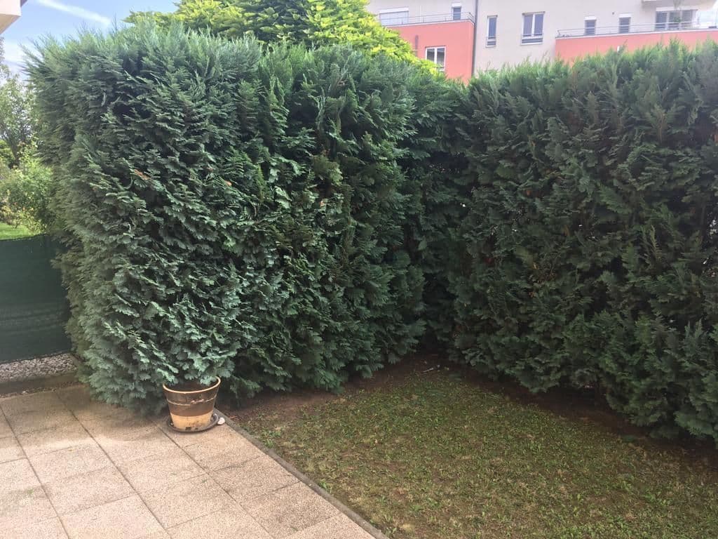 Prenájom bytu 1-izbový 36 m², Holubí, Praha, Praha Prenájom bytu 1-izbový 36 m², Holubí, Praha, Praha