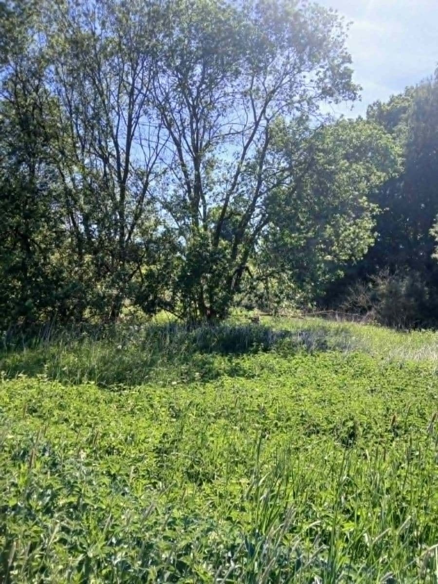 Predaj pozemku 6.713 m², Rudoltice, Pardubický kraj Predaj pozemku 6.713 m², Rudoltice, Pardubický kraj
