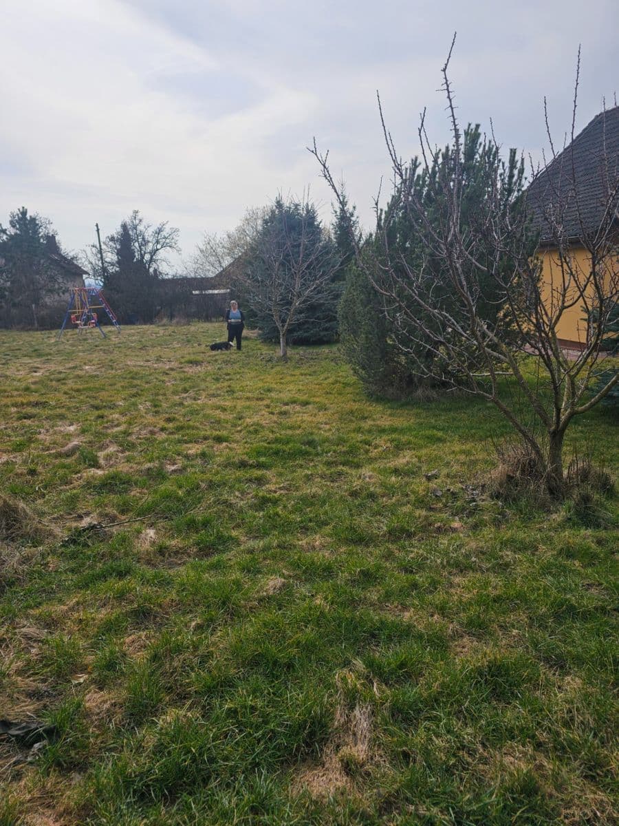 Prenájom domu 130 m², pozemek 3.000 m², Ořechová, Mělník, Středočeský kraj Prenájom domu 130 m², pozemek 3.000 m², Ořechová, Mělník, Středočeský kraj