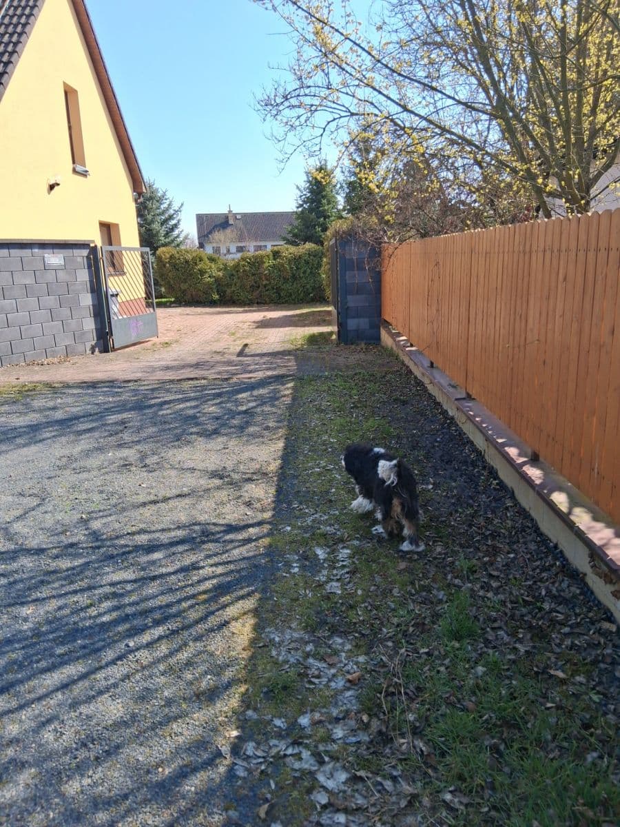 Prenájom domu 130 m², pozemek 3.000 m², Ořechová, Mělník, Středočeský kraj Prenájom domu 130 m², pozemek 3.000 m², Ořechová, Mělník, Středočeský kraj