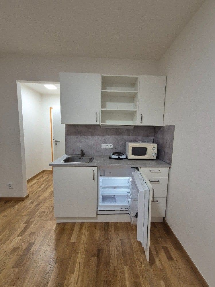 Prenájom bytu 1-izbový 18 m², U Lidového domu, Praha, Praha Prenájom bytu 1-izbový 18 m², U Lidového domu, Praha, Praha