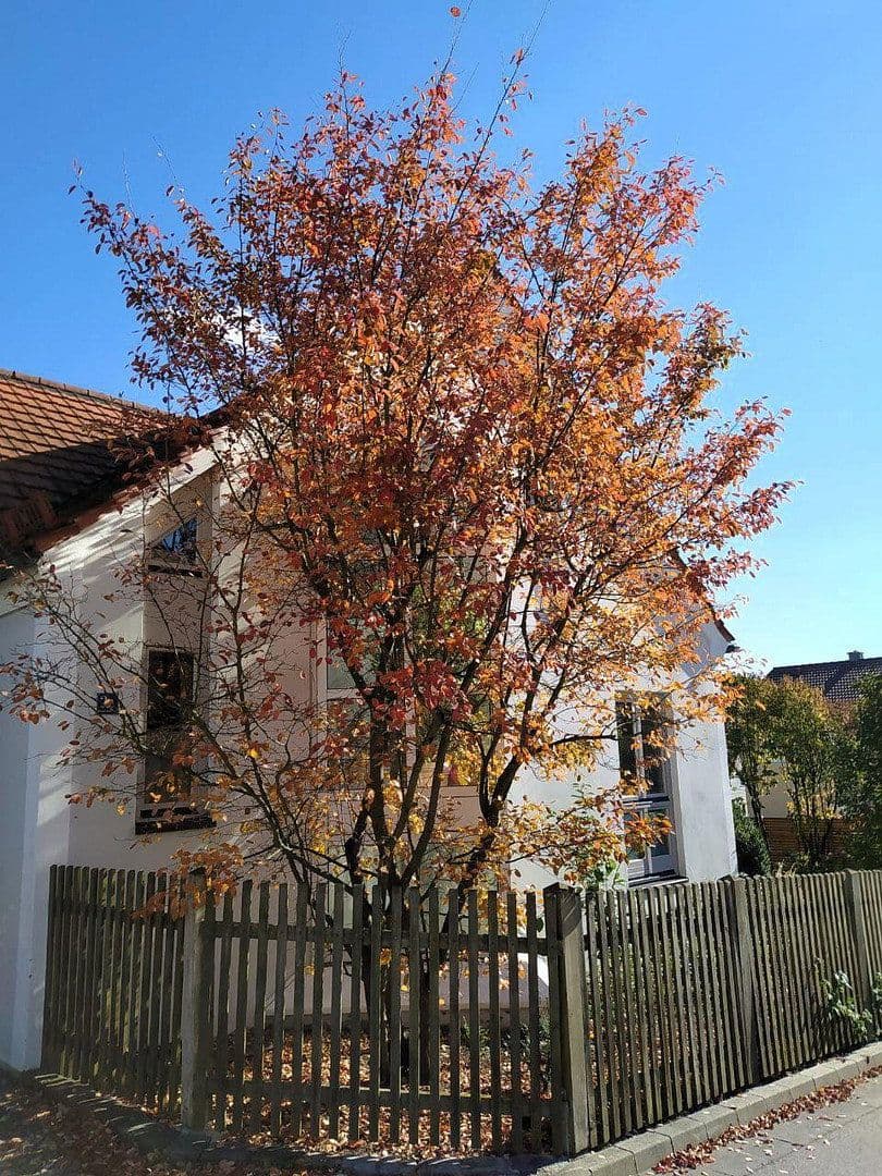 Predaj domu 300 m², pozemek 971 m², Dietfurt an der Altmühl, Bavorsko Predaj domu 300 m², pozemek 971 m², Dietfurt an der Altmühl, Bavorsko