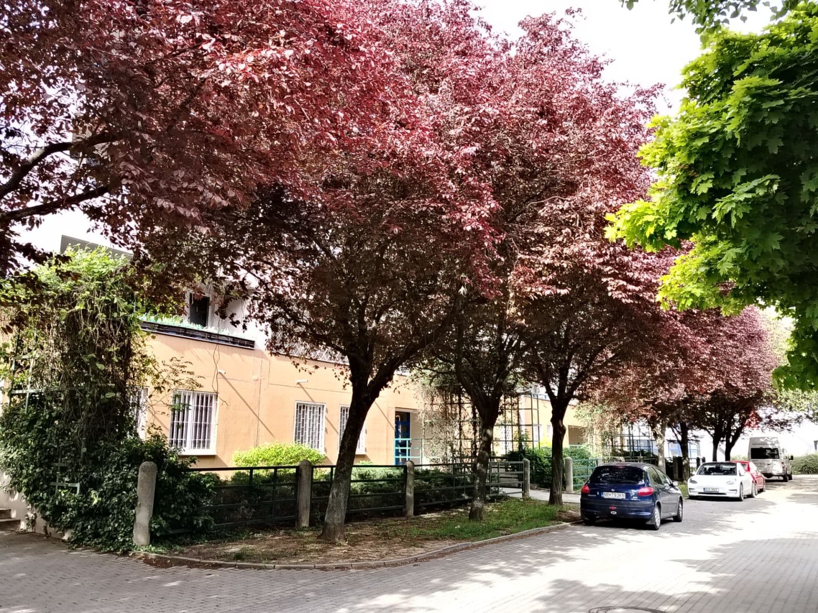 Predaj nebytového priestoru 31 m², Bašteckého, Praha, Praha Predaj nebytového priestoru 31 m², Bašteckého, Praha, Praha