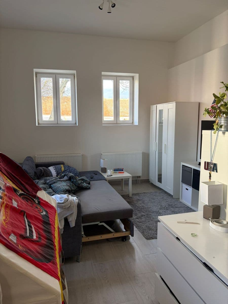 Prenájom bytu 1-izbový 43 m², Formanská, Praha, Praha Prenájom bytu 1-izbový 43 m², Formanská, Praha, Praha