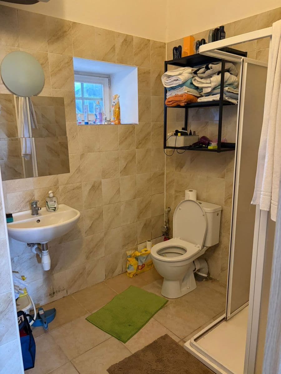 Prenájom bytu 1-izbový 43 m², Formanská, Praha, Praha Prenájom bytu 1-izbový 43 m², Formanská, Praha, Praha