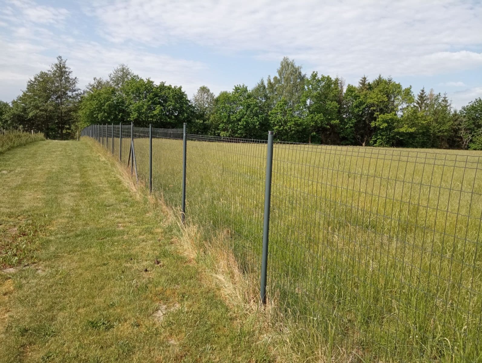 Predaj pozemku 2.502 m², Petříkov, Jihočeský kraj Predaj pozemku 2.502 m², Petříkov, Jihočeský kraj