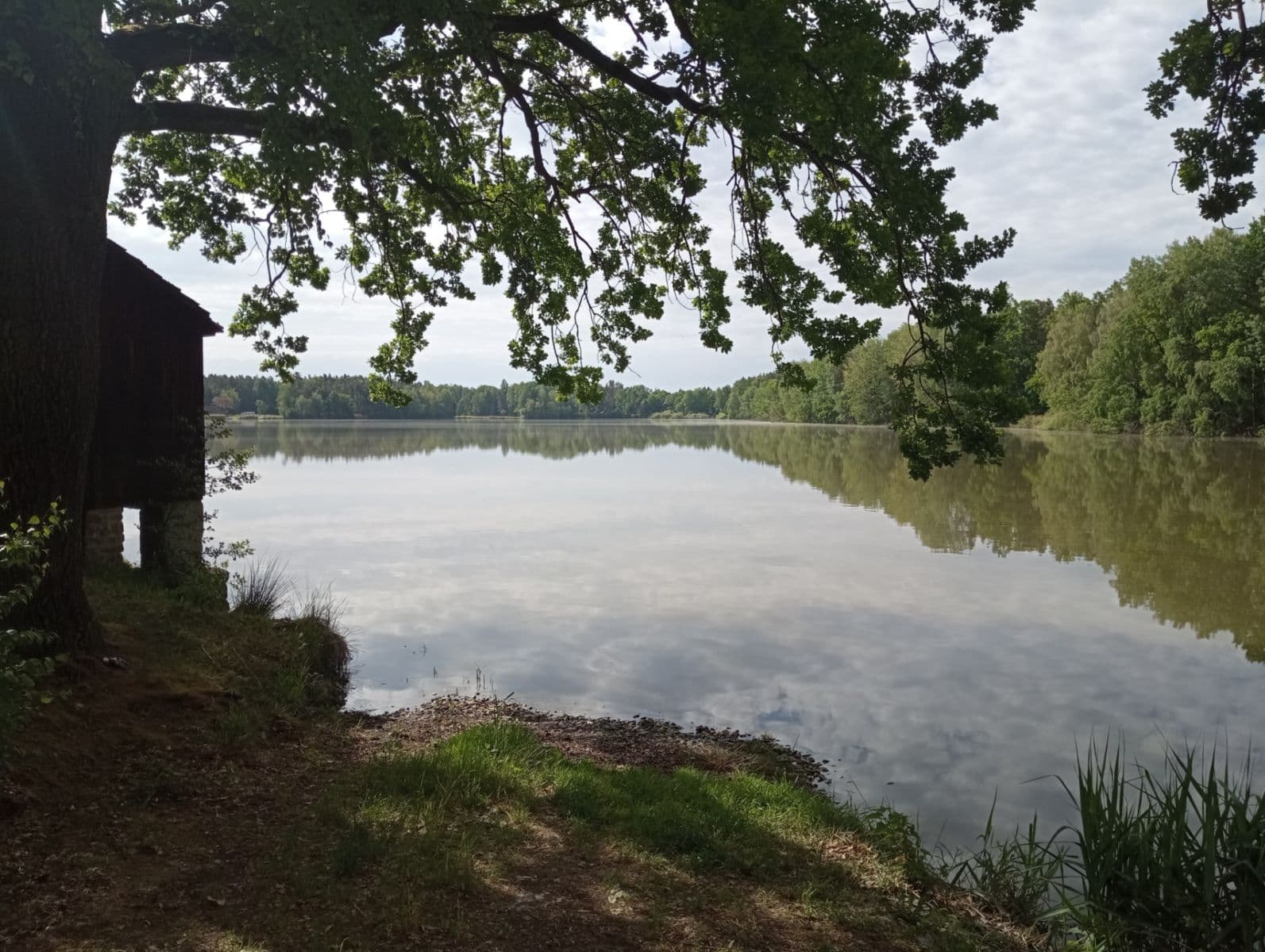 Predaj pozemku 2.502 m², Petříkov, Jihočeský kraj Predaj pozemku 2.502 m², Petříkov, Jihočeský kraj