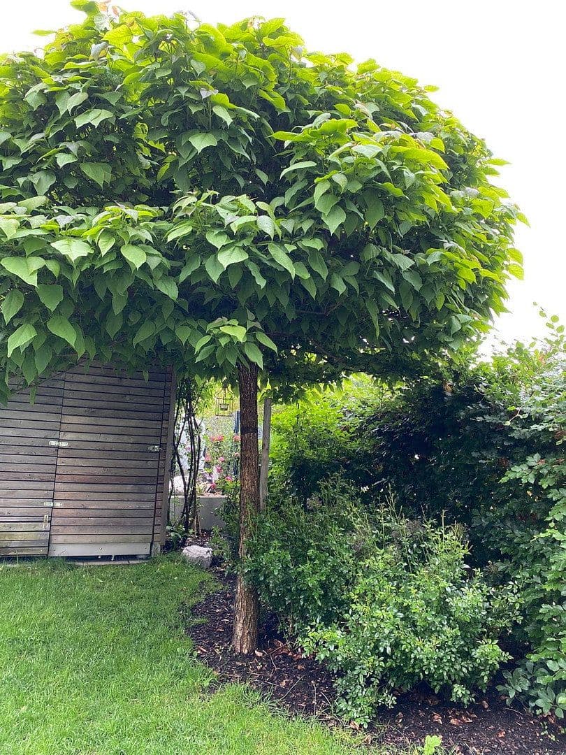 Predaj domu 116 m², pozemek 157 m², Bad Aibling, Bavorsko Predaj domu 116 m², pozemek 157 m², Bad Aibling, Bavorsko