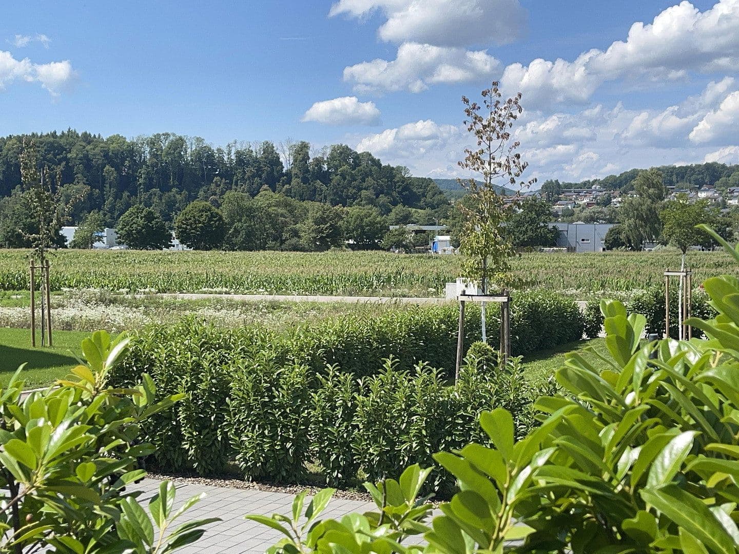 Predaj domu 220 m², pozemek 741 m², Wutöschingen, Bádensko-Wurttembersko Predaj domu 220 m², pozemek 741 m², Wutöschingen, Bádensko-Wurttembersko