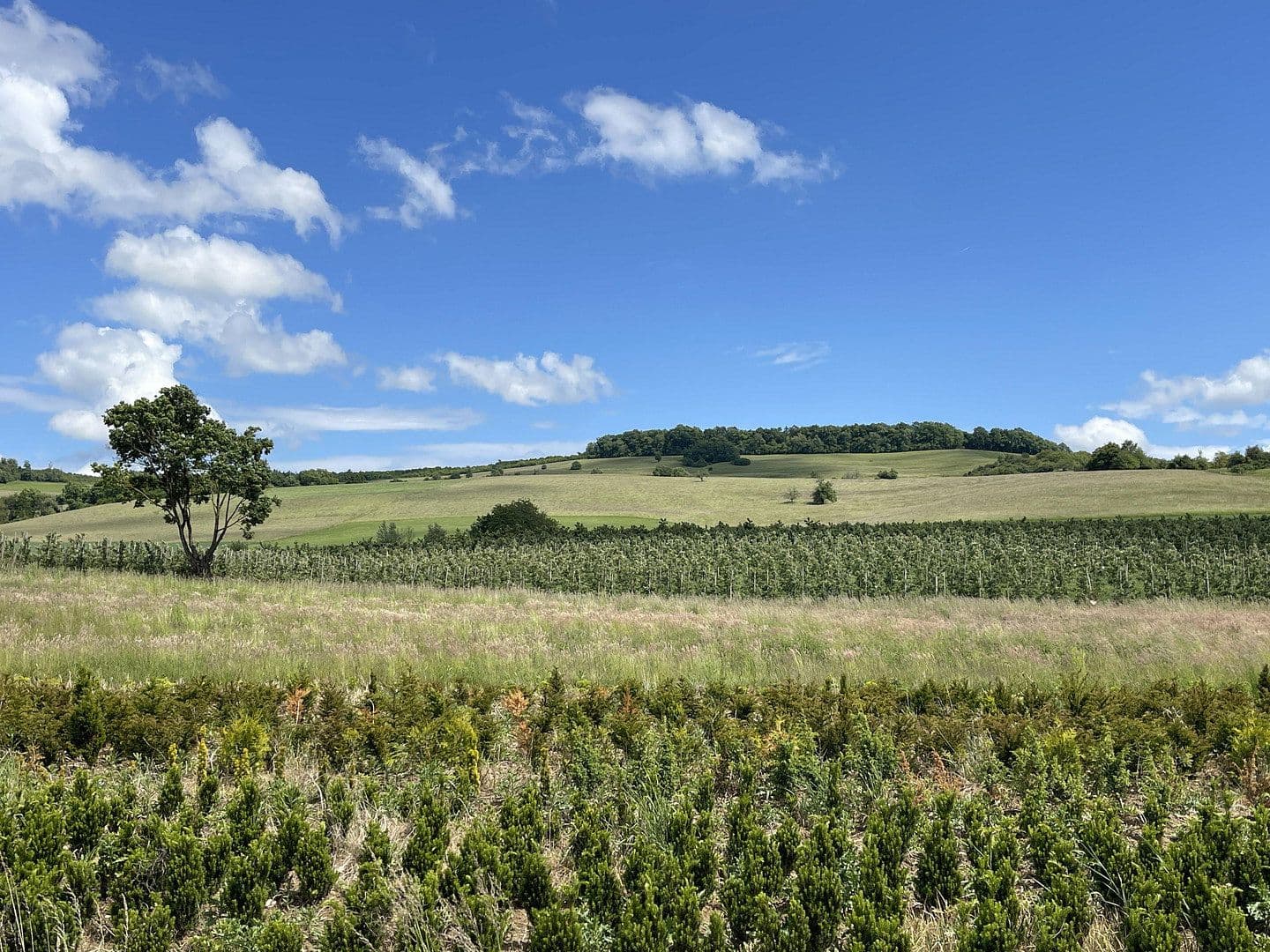 Predaj domu 220 m², pozemek 741 m², Wutöschingen, Bádensko-Wurttembersko Predaj domu 220 m², pozemek 741 m², Wutöschingen, Bádensko-Wurttembersko