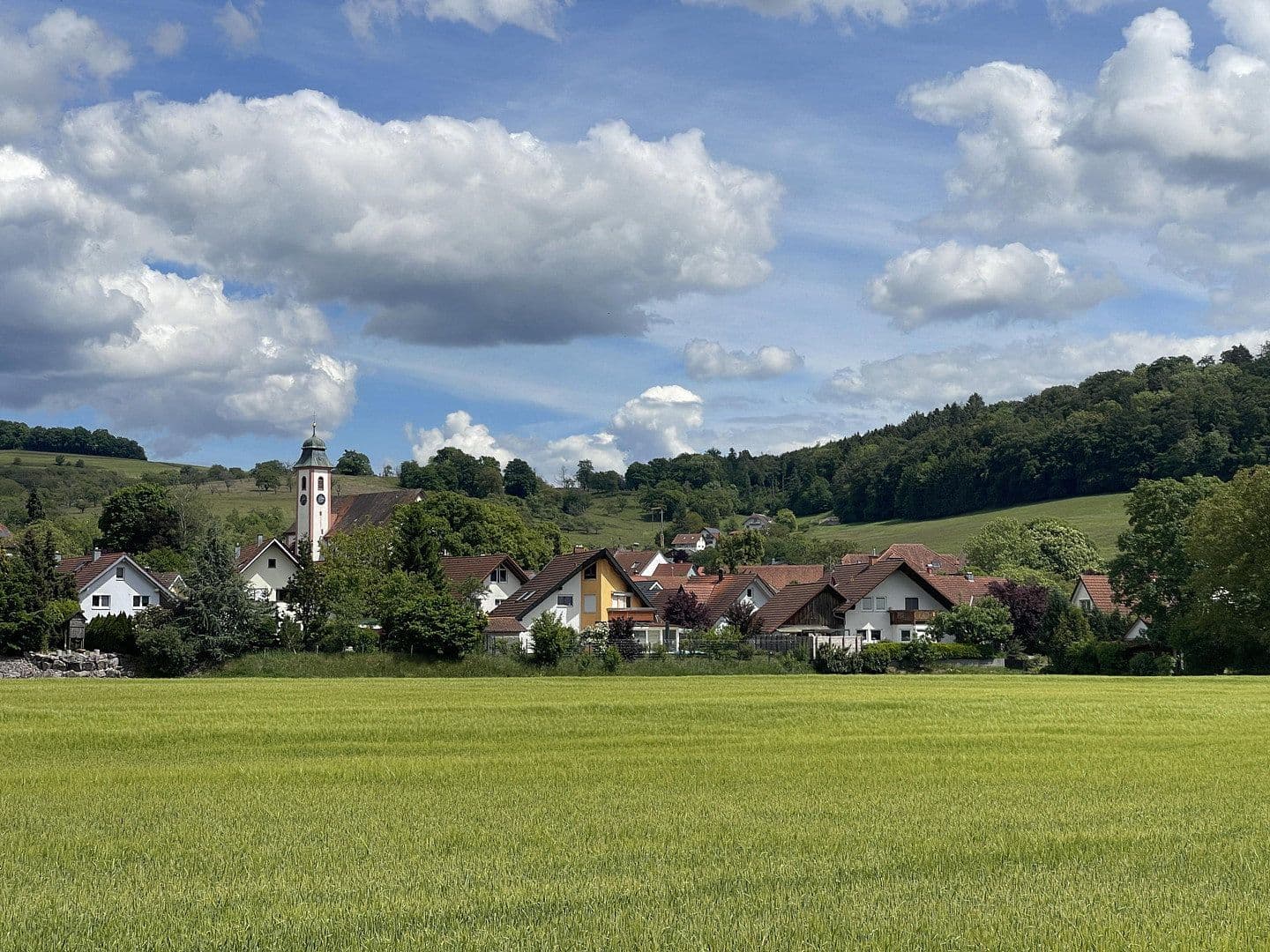 Predaj domu 220 m², pozemek 741 m², Wutöschingen, Bádensko-Wurttembersko Predaj domu 220 m², pozemek 741 m², Wutöschingen, Bádensko-Wurttembersko