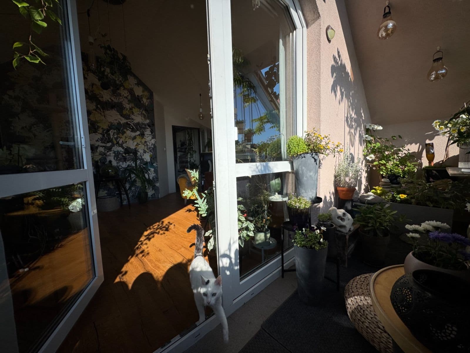 Predaj bytu 3-izbový 66 m², Žiželická, Praha, Praha Predaj bytu 3-izbový 66 m², Žiželická, Praha, Praha