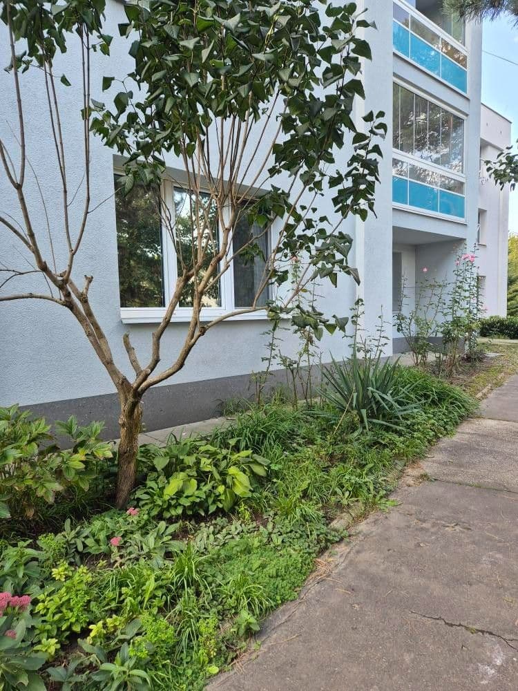Prenájom bytu 1-izbový 34 m², Květinová, Orlová, Moravskoslezský kraj Prenájom bytu 1-izbový 34 m², Květinová, Orlová, Moravskoslezský kraj